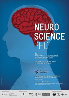 Programa Internacional de Doutoramento em Neurociências Programa Internacional de Doutoramento em Neurociências